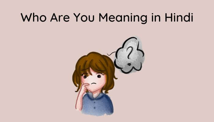 Who Are You Meaning in Hindi