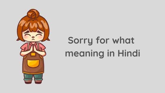 sorry for what meaning in hindi