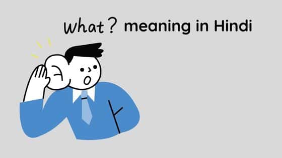 what meaning in hindi