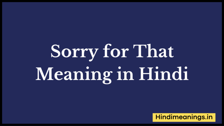 Sorry for That Meaning in Hindi