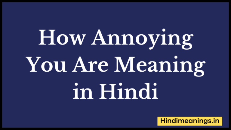 How Annoying You Are Meaning in Hindi