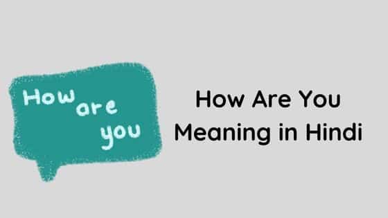 How Are You Meaning in Hindi