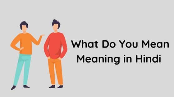 what do you mean meaning in hindi