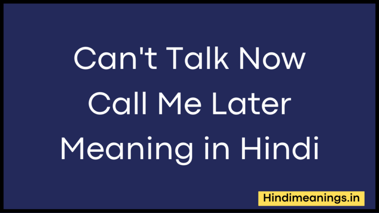 Can't Talk Now Call Me Later Meaning in Hindi