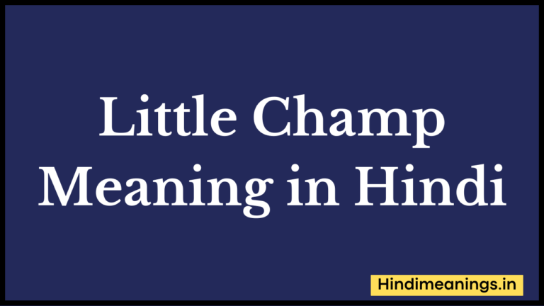 Little Champ Meaning in Hindi