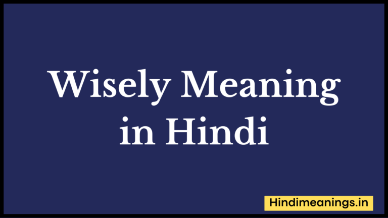 Wisely Meaning in Hindi