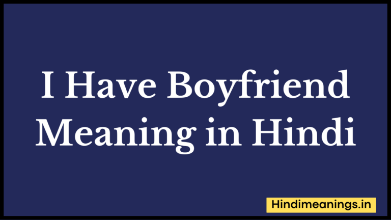 I Have a Boyfriend Meaning in Hindi