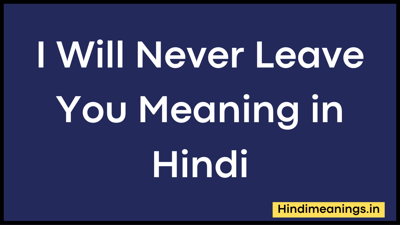 I Will Never Leave You Meaning in Hindi