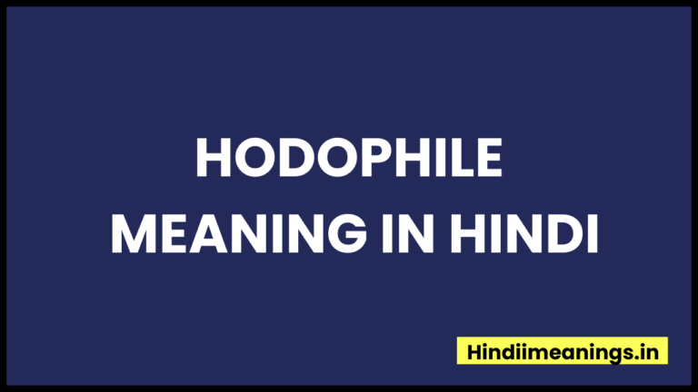 Hodophile Meaning In Hindi