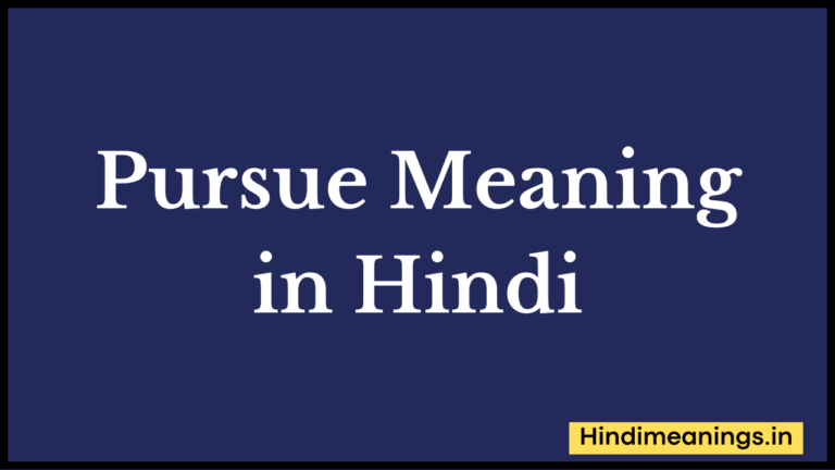 Pursue Meaning in Hindi