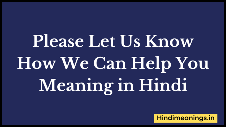 Please Let Us Know How We Can Help You Meaning in Hindi