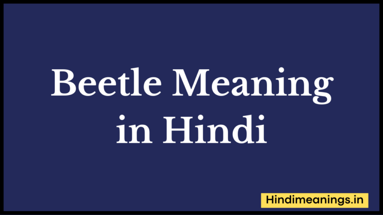 Beetle Meaning in Hindi