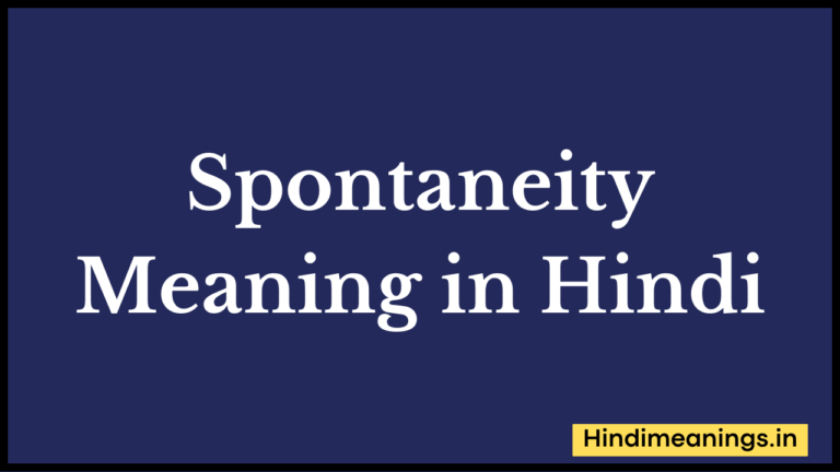 Spontaneity Meaning in Hindi