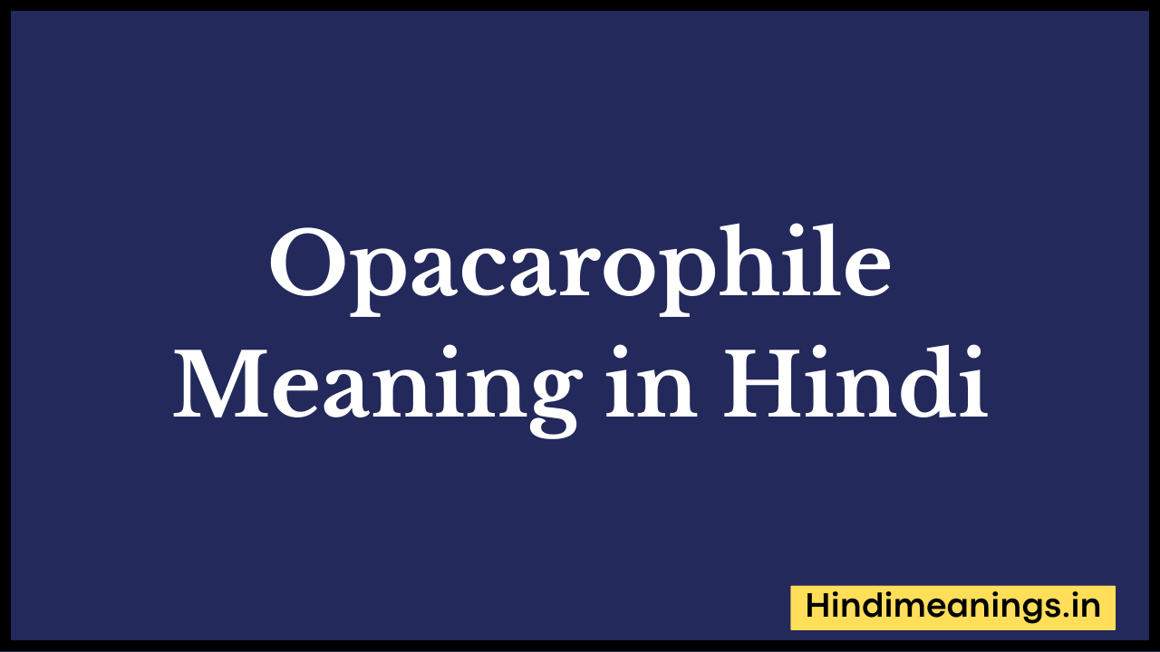 Opacarophile Meaning in Hindi