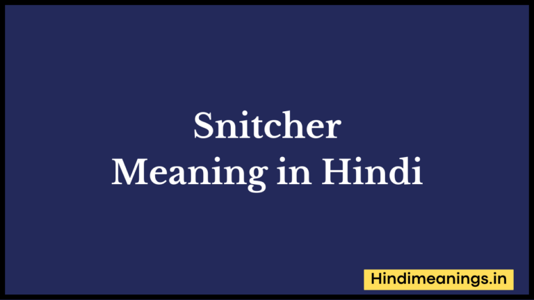 Snitcher Meaning in Hindi