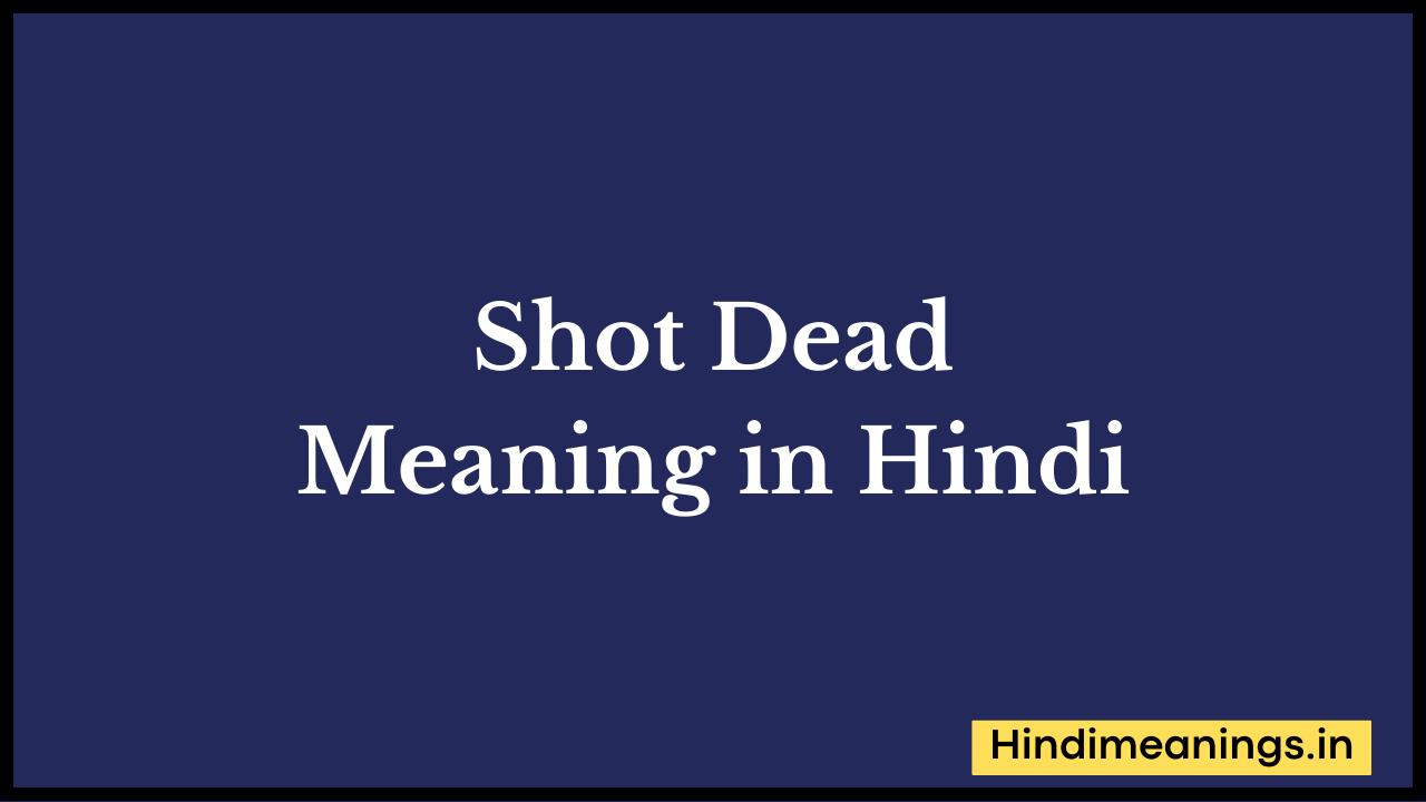 Shot Dead meaning in hindi