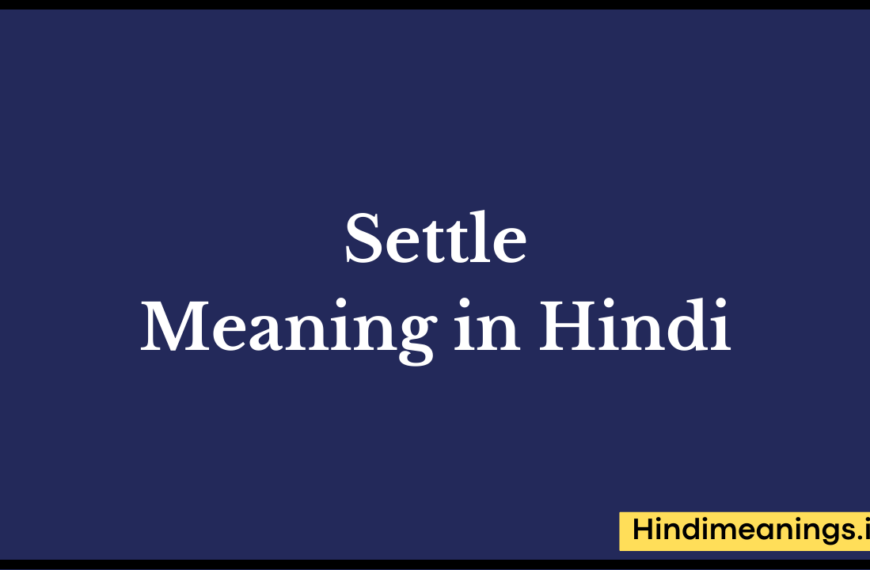 Settle Meaning in Hindi