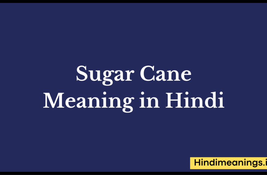 Sugar Cane Meaning in Hindi