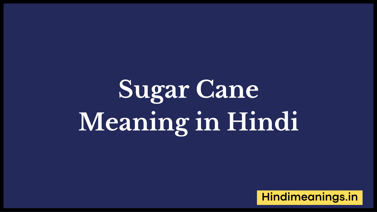 Sugar Cane Meaning in Hindi