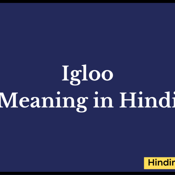 Igloo meaning in hindi