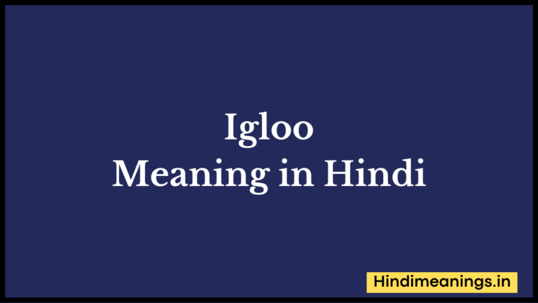 Igloo meaning in hindi