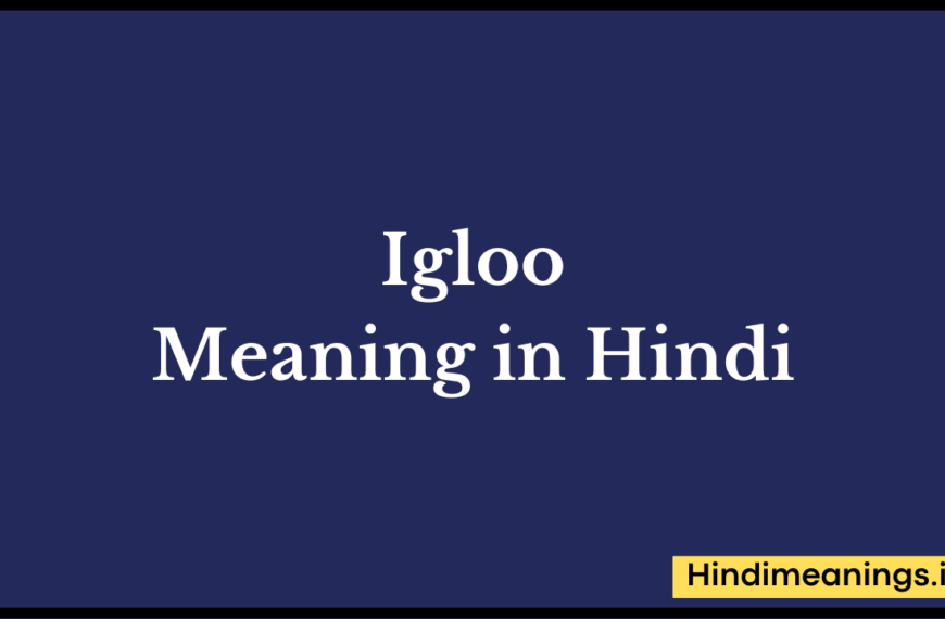 Igloo meaning in hindi