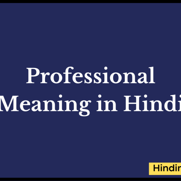 Professional Meaning in Hindi