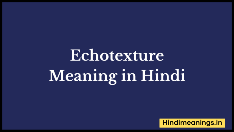 Echotexture Meaning in Hindi