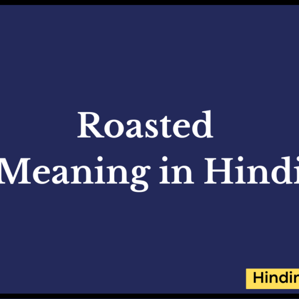 Roasted Meaning in Hindi