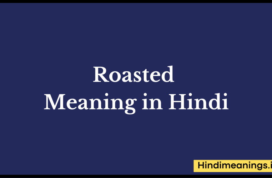 Roasted Meaning in Hindi