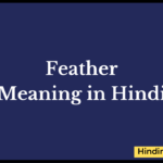 Feather Meaning in Hindi