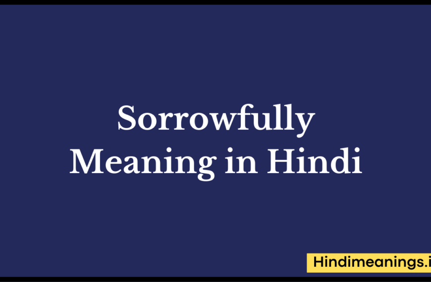 Sorrowfully Meaning in Hindi