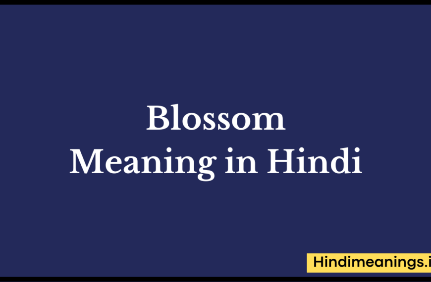 Blossom Meaning in Hindi