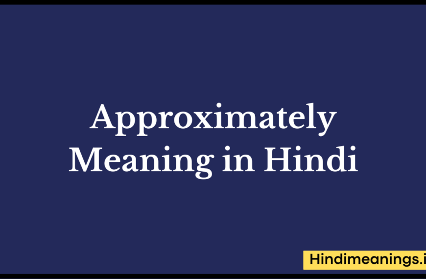 Approximately meaning in hindi