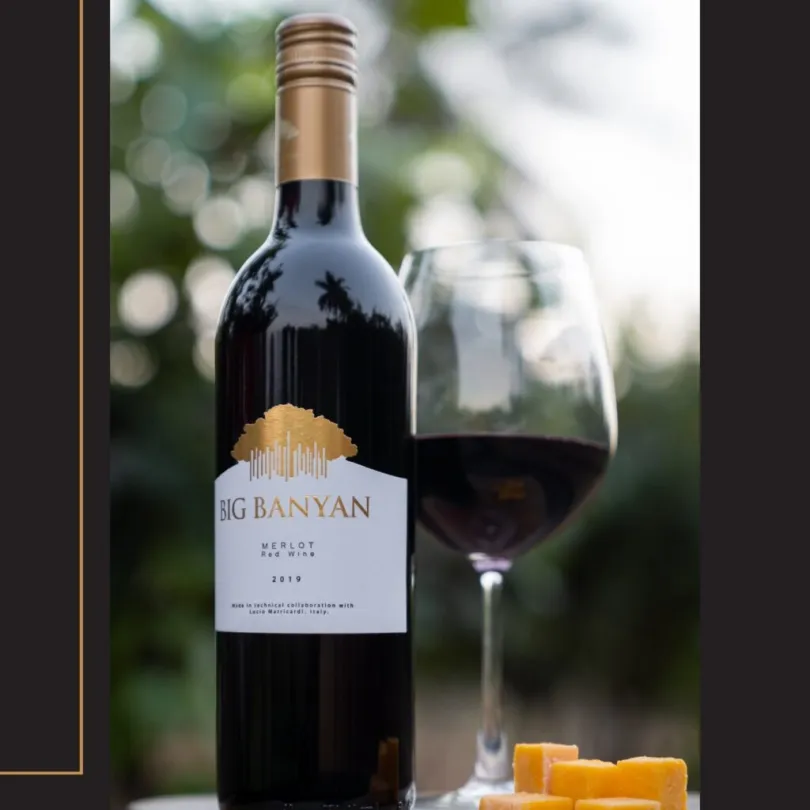 1. Big Banyan Merlot